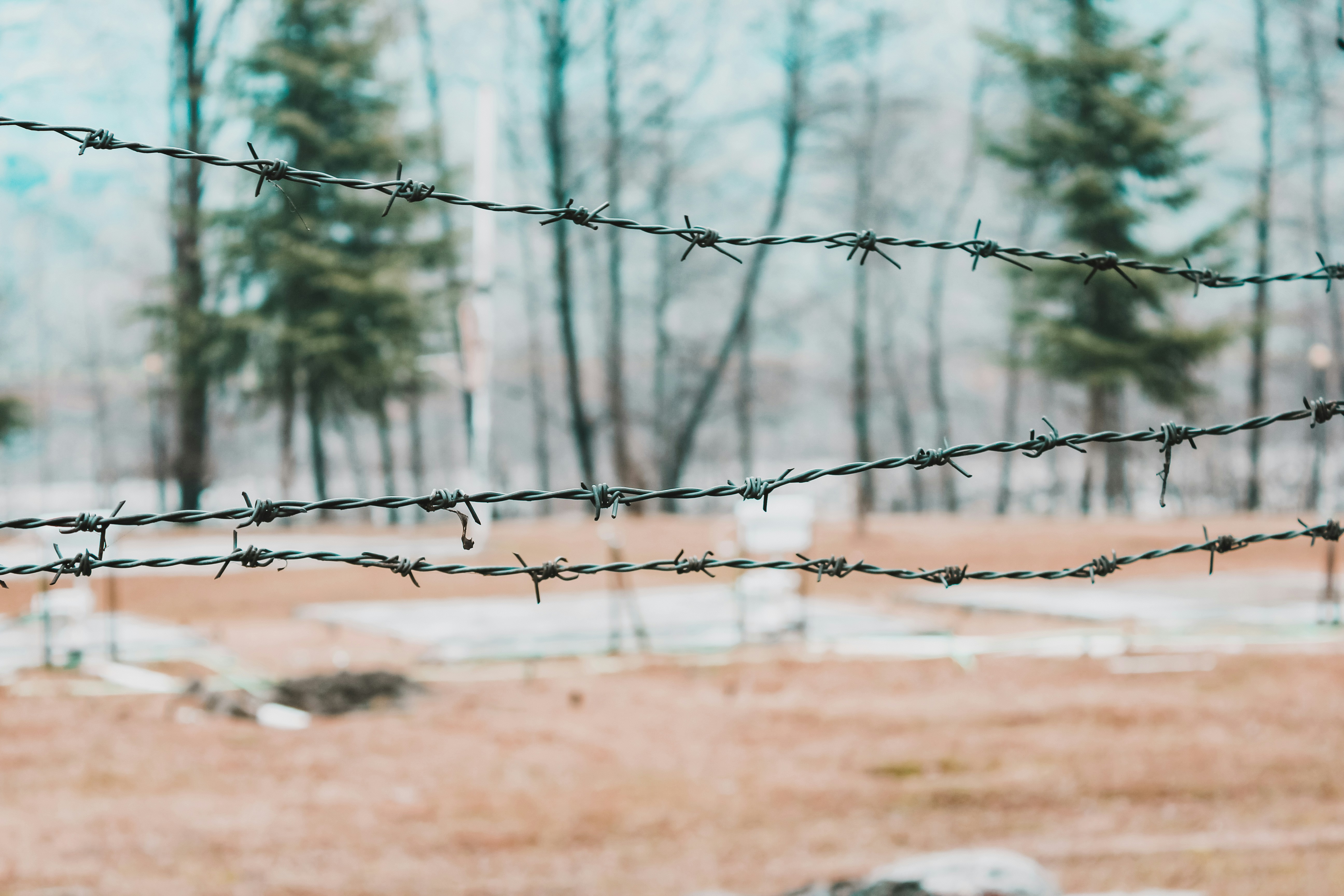 A few strands of barbed wire